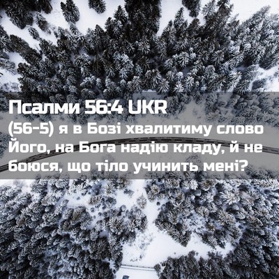 Picture 02 - Псалми 56:4 UKR - (56-5) я в Бозі хвалитиму - Bible Verse Picture