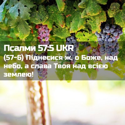 Picture 02 - Псалми 57:5 UKR - (57-6) Піднесися ж, о Боже, над - Bible Verse Picture