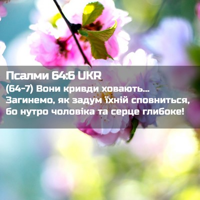 Picture 02 - Псалми 64:6 UKR - (64-7) Вони кривди ховають... - Bible Verse Picture