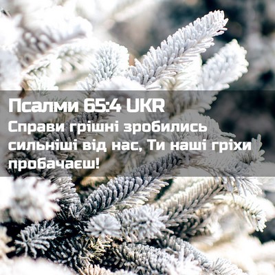 Picture 02 - Псалми 65:4 UKR - Справи грішні зробились - Bible Verse Picture