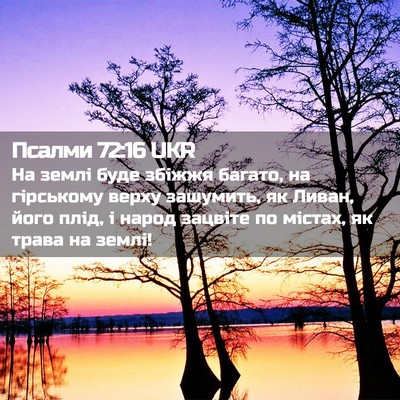 Picture 02 - Псалми 72:16 UKR - На землі буде збіжжя - Bible Verse Picture