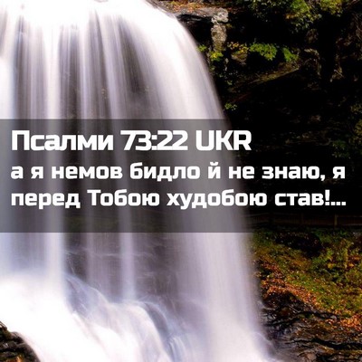 Picture 02 - Псалми 73:22 UKR - а я немов бидло й не знаю, я - Bible Verse Picture
