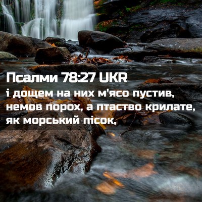 Picture 02 - Псалми 78:27 UKR - і дощем на них м'ясо пустив, - Bible Verse Picture