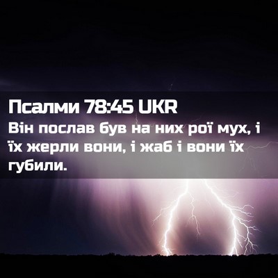 Picture 02 - Псалми 78:45 UKR - Він послав був на них рої - Bible Verse Picture