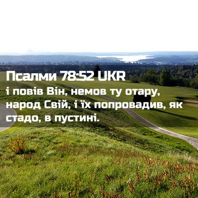 Picture 02 - Псалми 78:52 UKR - і повів Він, немов ту отару, - Bible Verse Picture