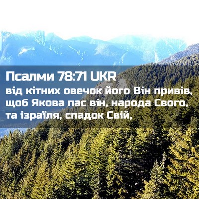 Picture 02 - Псалми 78:71 UKR - від кітних овечок його Він - Bible Verse Picture