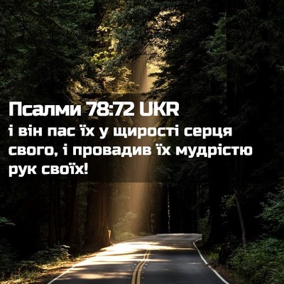 Picture 02 - Псалми 78:72 UKR - і він пас їх у щирості - Bible Verse Picture
