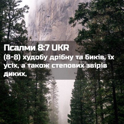 Picture 02 - Псалми 8:7 UKR - (8-8) худобу дрібну та биків, - Bible Verse Picture