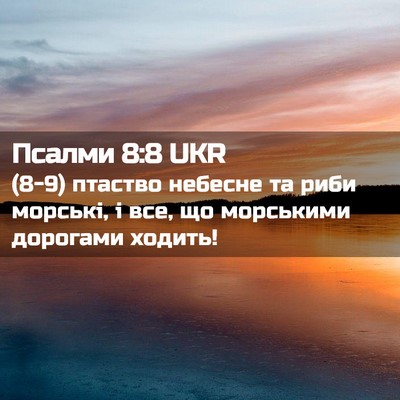 Picture 02 - Псалми 8:8 UKR - (8-9) птаство небесне та риби - Bible Verse Picture