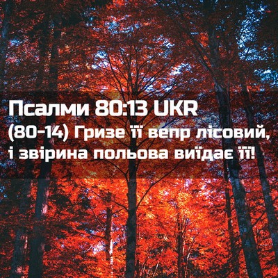 Picture 02 - Псалми 80:13 UKR - (80-14) Гризе її вепр лісовий, - Bible Verse Picture