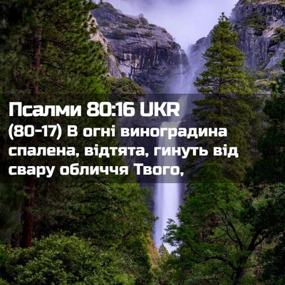 Picture 02 - Псалми 80:16 UKR - (80-17) В огні виноградина - Bible Verse Picture