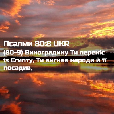 Picture 02 - Псалми 80:8 UKR - (80-9) Виноградину Ти переніс - Bible Verse Picture
