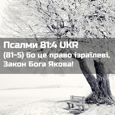 Picture 02 - Псалми 81:4 UKR - (81-5) бо це право ізраїлеві, - Bible Verse Picture