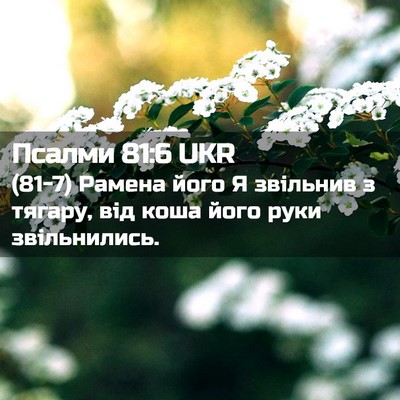 Picture 02 - Псалми 81:6 UKR - (81-7) Рамена його Я звільнив - Bible Verse Picture