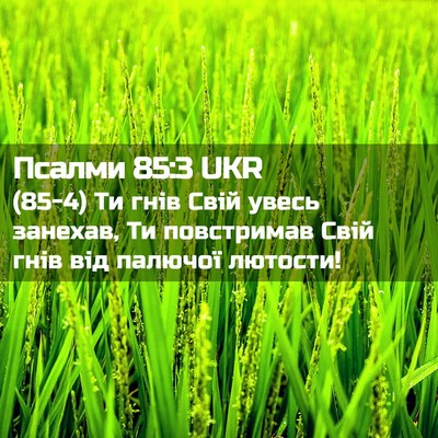 Picture 02 - Псалми 85:3 UKR - (85-4) Ти гнів Свій увесь - Bible Verse Picture