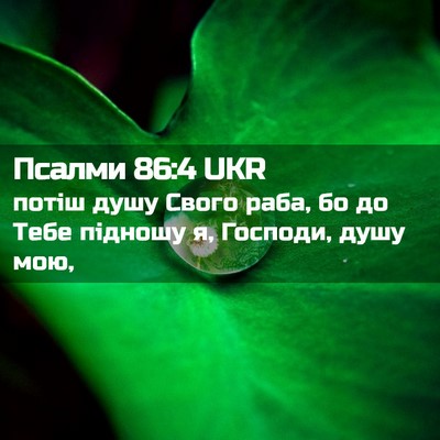 Picture 02 - Псалми 86:4 UKR - потіш душу Свого раба, бо - Bible Verse Picture