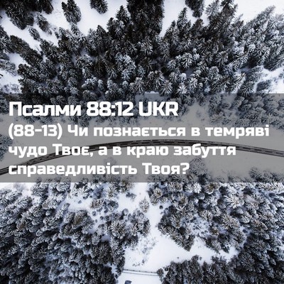 Picture 02 - Псалми 88:12 UKR - (88-13) Чи познається в - Bible Verse Picture