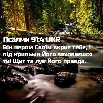 Picture 02 - Псалми 91:4 UKR - Він пером Своїм вкриє тебе, - Bible Verse Picture