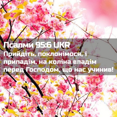 Picture 02 - Псалми 95:6 UKR - Прийдіть, поклонімося, і - Bible Verse Picture