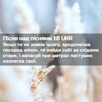 Picture 02 - Пісня над піснями 1:8 UKR - Якщо ти не знаєш цього, - Bible Verse Picture