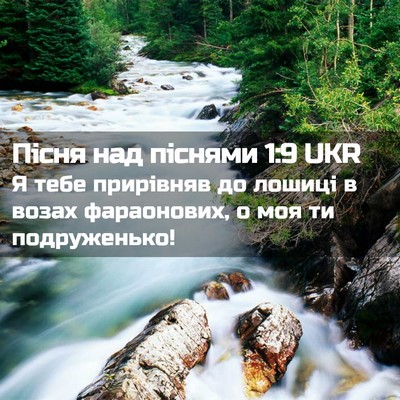 Picture 02 - Пісня над піснями 1:9 UKR - Я тебе прирівняв до лошиці - Bible Verse Picture
