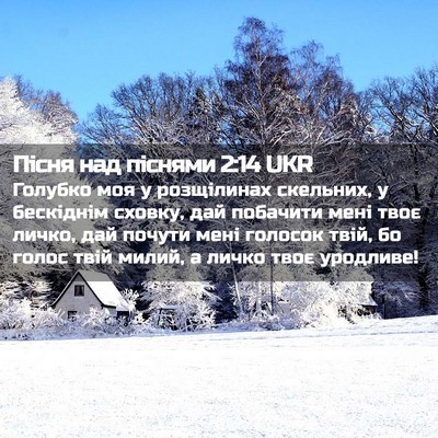 Picture 02 - Пісня над піснями 2:14 UKR - Голубко моя у розщілинах - Bible Verse Picture