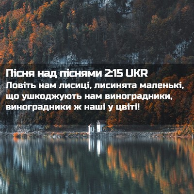 Picture 02 - Пісня над піснями 2:15 UKR - Ловіть нам лисиці, - Bible Verse Picture