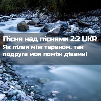 Picture 02 - Пісня над піснями 2:2 UKR - Як лілея між тереном, так - Bible Verse Picture