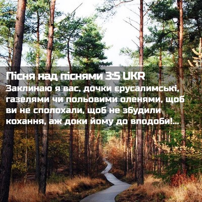 Picture 02 - Пісня над піснями 3:5 UKR - Заклинаю я вас, дочки - Bible Verse Picture
