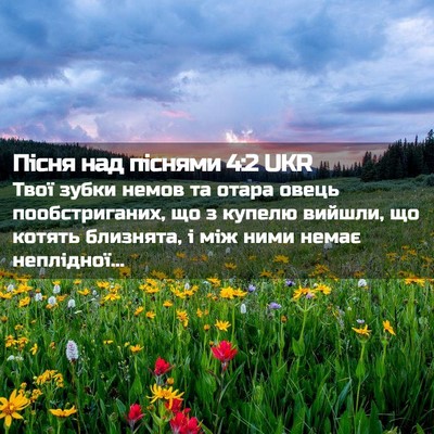 Picture 02 - Пісня над піснями 4:2 UKR - Твої зубки немов та отара - Bible Verse Picture