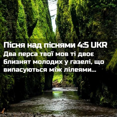 Picture 02 - Пісня над піснями 4:5 UKR - Два перса твої мов ті двоє - Bible Verse Picture