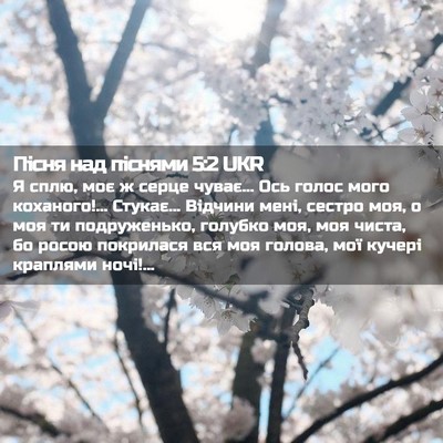 Picture 02 - Пісня над піснями 5:2 UKR - Я сплю, моє ж серце чуває... - Bible Verse Picture
