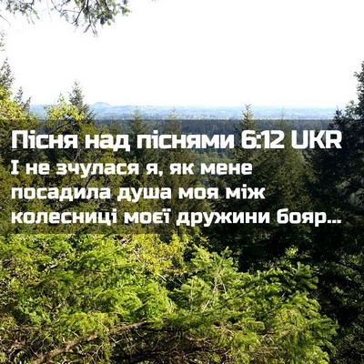 Picture 02 - Пісня над піснями 6:12 UKR - І не зчулася я, як мене - Bible Verse Picture