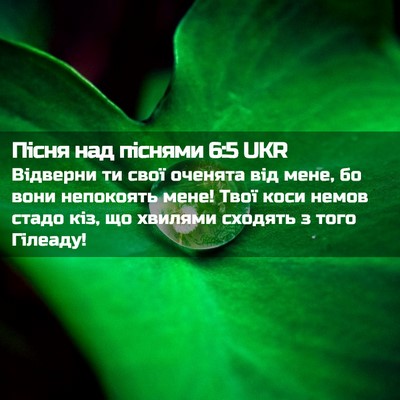 Picture 02 - Пісня над піснями 6:5 UKR - Відверни ти свої оченята - Bible Verse Picture