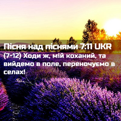 Picture 02 - Пісня над піснями 7:11 UKR - (7-12) Ходи ж, мій коханий, та - Bible Verse Picture