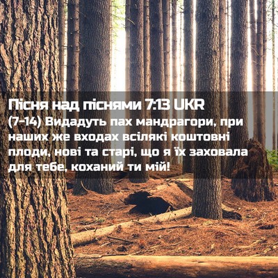 Picture 02 - Пісня над піснями 7:13 UKR - (7-14) Видадуть пах - Bible Verse Picture