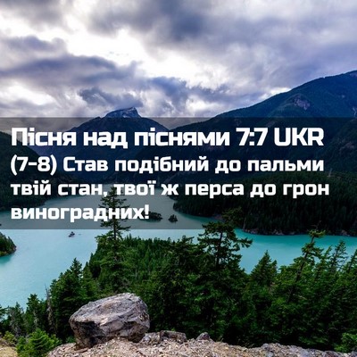 Picture 02 - Пісня над піснями 7:7 UKR - (7-8) Став подібний до пальми - Bible Verse Picture
