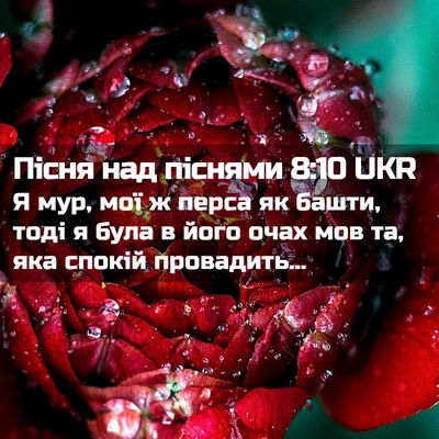 Picture 02 - Пісня над піснями 8:10 UKR - Я мур, мої ж перса як башти, - Bible Verse Picture