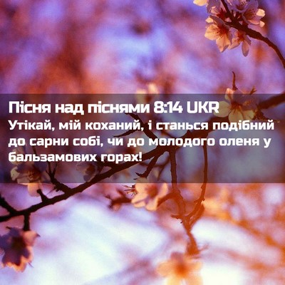 Picture 02 - Пісня над піснями 8:14 UKR - Утікай, мій коханий, і - Bible Verse Picture
