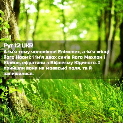 Picture 02 - Рут 1:2 UKR - А ім'я тому чоловікові - Bible Verse Picture