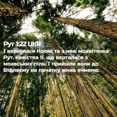 Picture 02 - Рут 1:22 UKR - І вернулася Ноомі та з нею - Bible Verse Picture