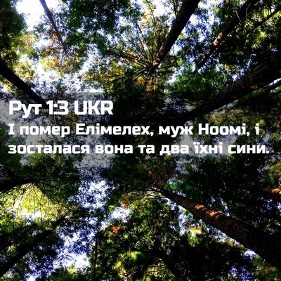 Picture 02 - Рут 1:3 UKR - І помер Елімелех, муж - Bible Verse Picture