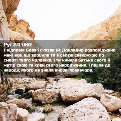 Picture 02 - Рут 2:11 UKR - І відповів Боаз і сказав - Bible Verse Picture