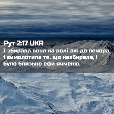 Picture 02 - Рут 2:17 UKR - І збирала вона на полі аж - Bible Verse Picture