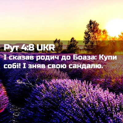 Picture 02 - Рут 4:8 UKR - І сказав родич до Боаза: - Bible Verse Picture