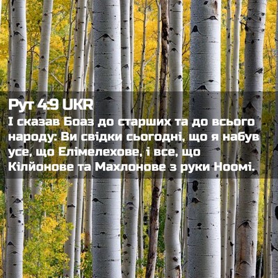 Picture 02 - Рут 4:9 UKR - І сказав Боаз до старших та - Bible Verse Picture