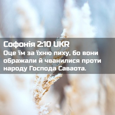 Picture 02 - Софонія 2:10 UKR - Оце їм за їхню пиху, бо вони - Bible Verse Picture