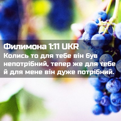 Picture 02 - Филимона 1:11 UKR - Колись то для тебе він був - Bible Verse Picture