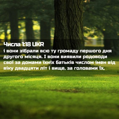 Picture 02 - Числа 1:18 UKR - і вони зібрали всю ту - Bible Verse Picture