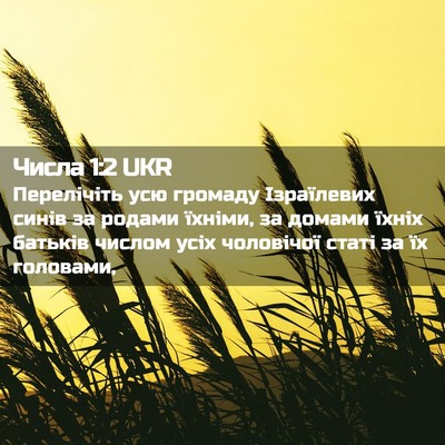 Picture 02 - Числа 1:2 UKR - Перелічіть усю громаду - Bible Verse Picture